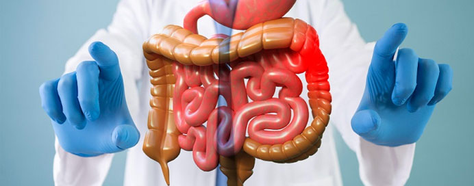 Complex Gastrointestinal Surgeries