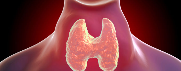 Thyroid Surgeries